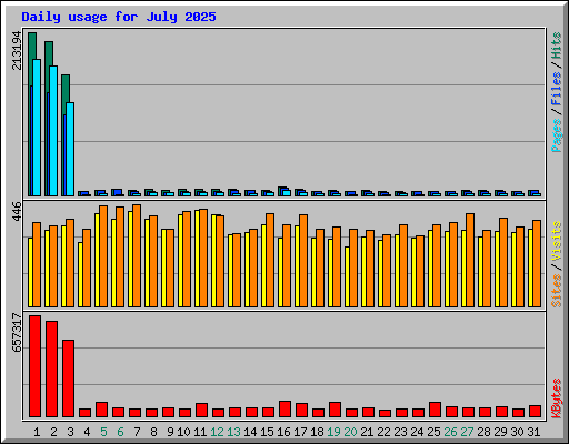 Daily usage for July 2025