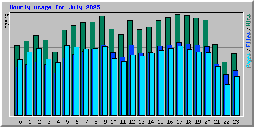 Hourly usage for July 2025