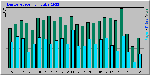 Hourly usage for July 2025